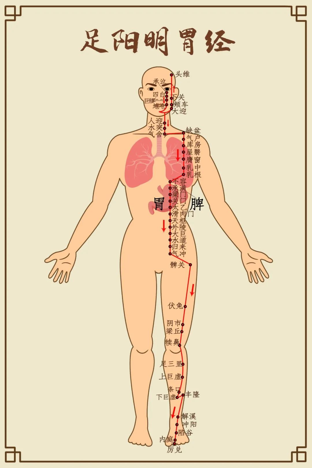 Comprehensive Diagram of Human Meridians (Recommended for Collection)