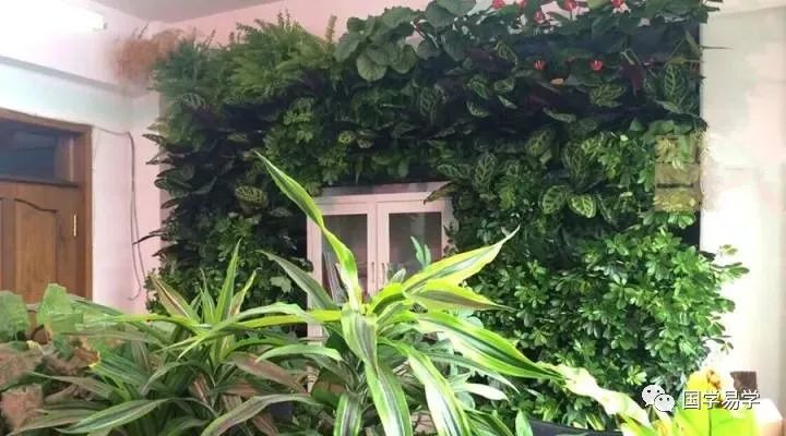 Five Major Signs of Excess Yin Energy in Your Home