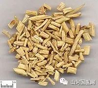 Codonopsis (Dang Shen): A Comprehensive Overview