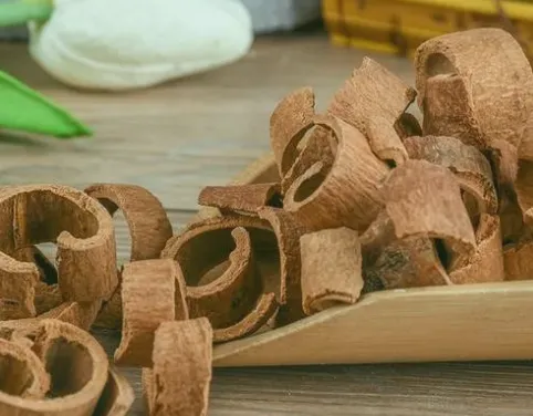 Daily Learning of Chinese Herbs - Cinnamon