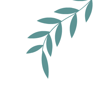 Weekly Herb: Codonopsis (Dang Shen)