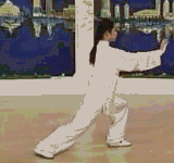Comprehensive Guide to Tai Chi Movements: Exercise at Home!