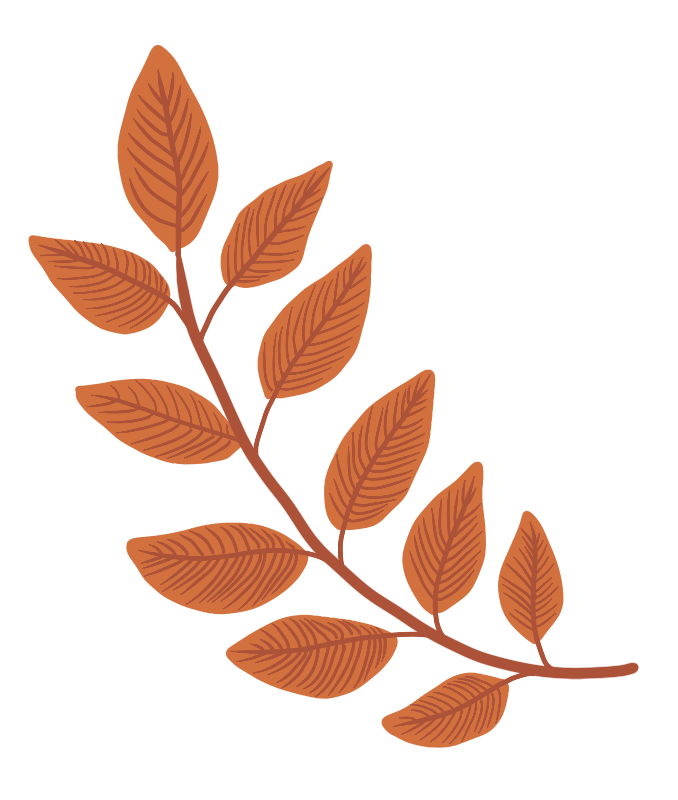 Huang Lian (Coptis chinensis): A Comprehensive Overview
