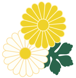 Understanding a Chinese Herb Every Day: Chuanxiong (Ligusticum chuanxiong)