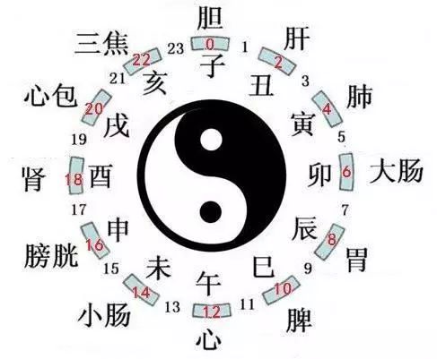 Traditional Chinese Medicine: The Gallbladder as the Chief of the Six Fu Organs with Functions of Storage, Excretion, and Decision-Making