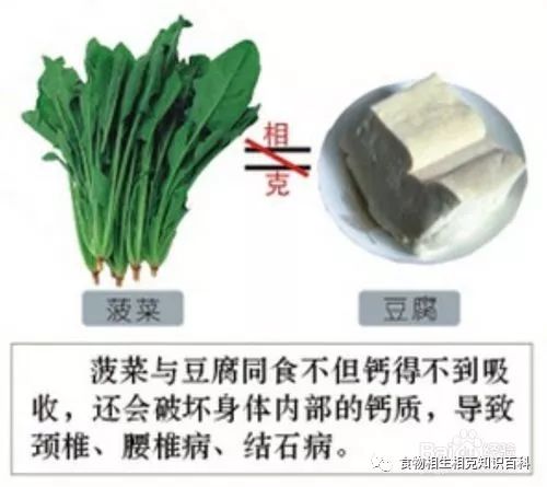 A Comprehensive Guide to Complementary and Contradictory Foods in TCM