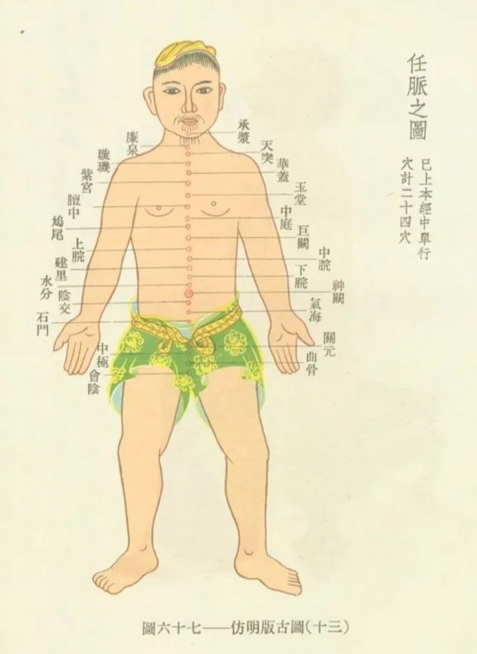 Meridians and Collaterals