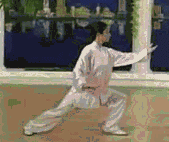 Comprehensive Guide to Tai Chi Movements: Exercise at Home!