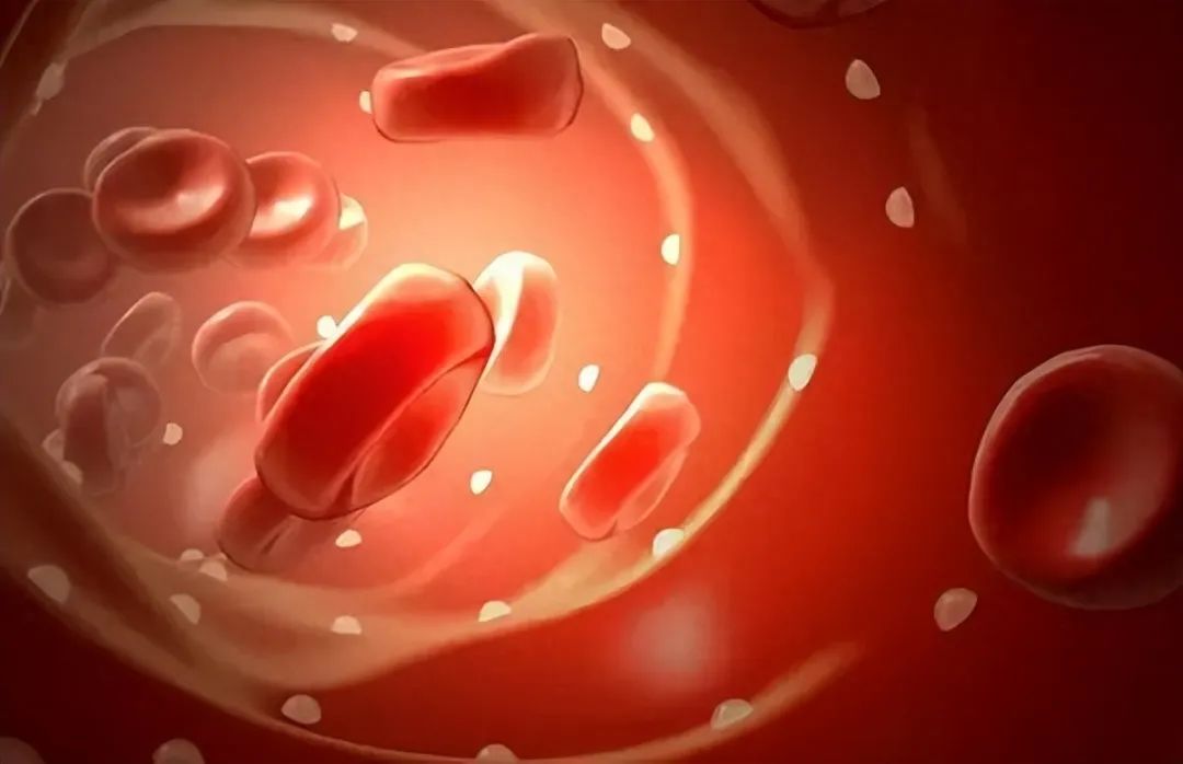Blood Stasis: The Root of All Illnesses - Five Blood-Invigorating Formulas by Ren Wang