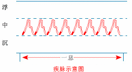 Illustrated Guide to 28 Dynamic Pulse Diagnoses in Traditional Chinese Medicine