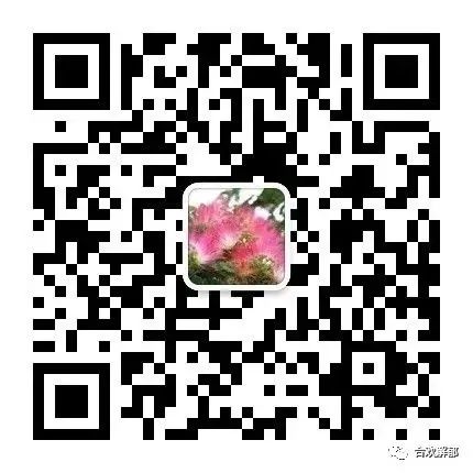 Academic Debate: Correct Interpretation of Zhang Zhongjing's "Shang Han Lun" and "Jin Gui Yao Lue"