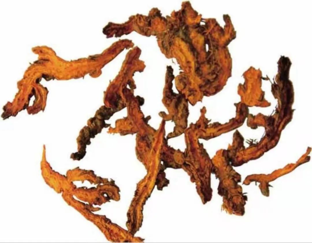 Huang Lian: A Bitter Herb for Clearing Heat and Dampness, Not Suitable for Deficiency and Cold!