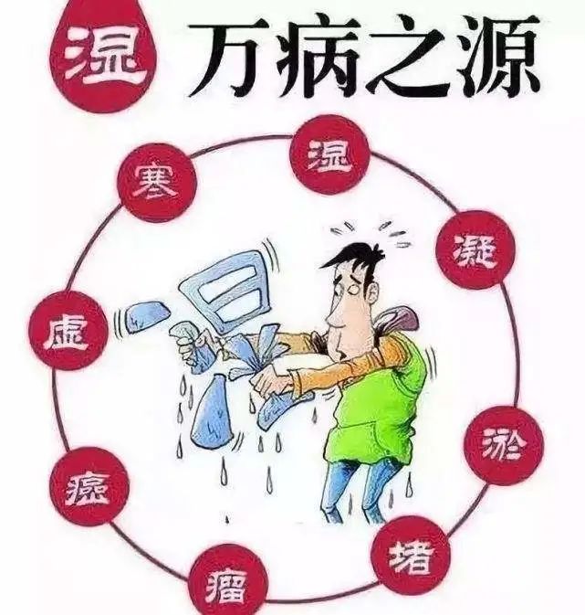 How to Eliminate Dampness? Effective TCM Formulas for Dampness Syndrome