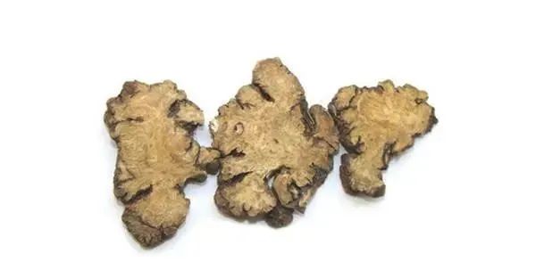 Nine Major Chinese Herbs for Activating Blood Circulation and Removing Stasis