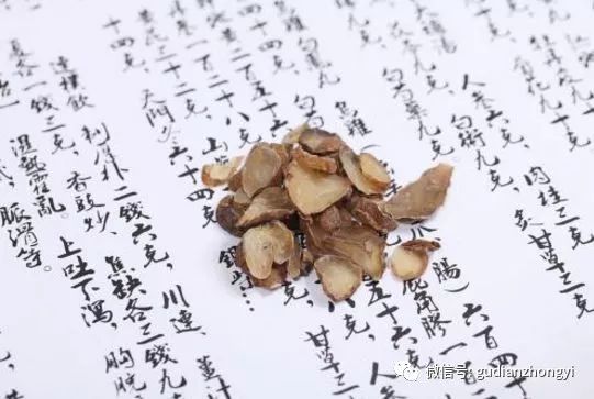 Fuzi: The Divine Weapon to Support Yang Qi and the Primary Medicine for Rescuing Yang from Reversal!