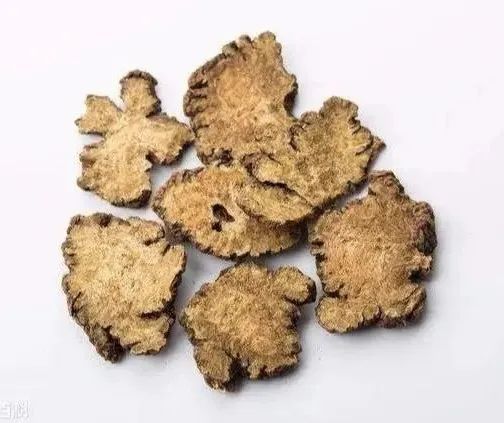 Chuanxiong (Ligusticum chuanxiong): A Blood and Qi Herb for Dispelling Wind-Damp and Relieving Headaches