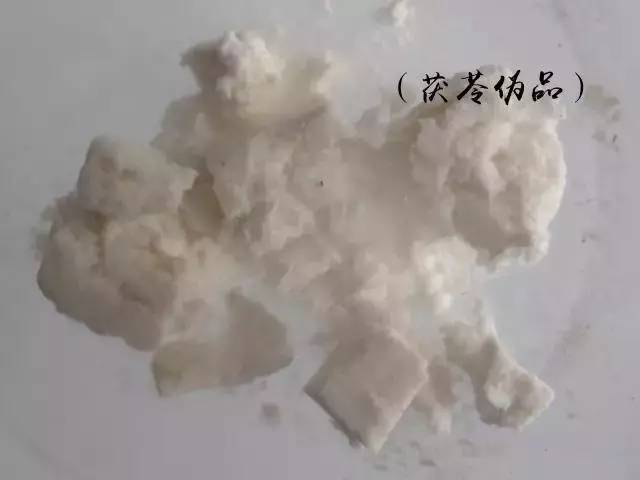 The Charm of Traditional Chinese Medicine | Poria (Fuling)