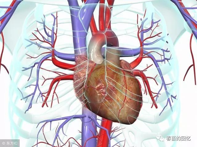 TCM Deficiency Syndromes: Yin Deficiency and Clinical Manifestations