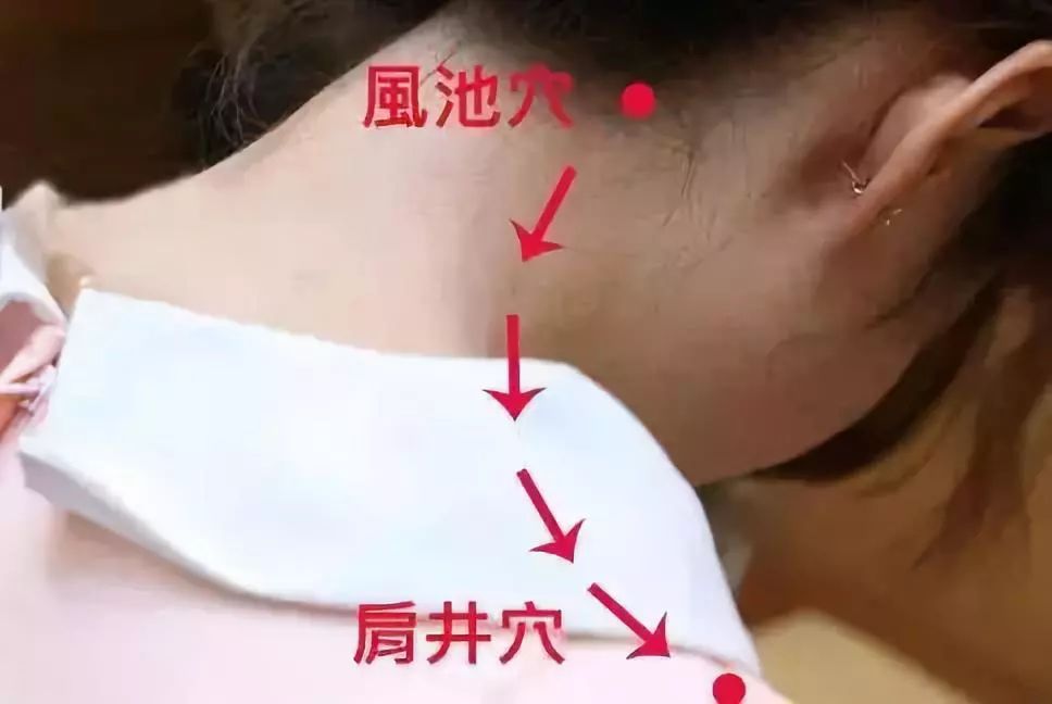 Specific Gua Sha Techniques for the Whole Body: Please Remember!