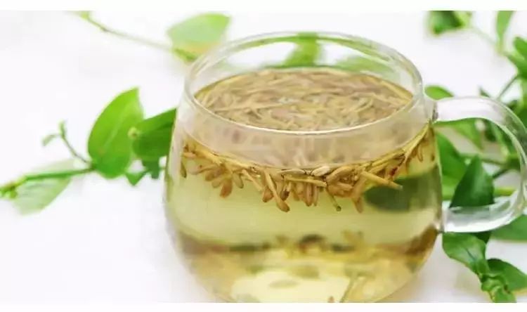 The Most Beautiful Chinese Herb: Honeysuckle, the 'First Flower of Summer'