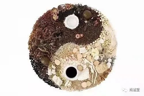 The Timeless Formula for Strengthening the Body and Expelling Pathogens: Ren Shen Bai Du San