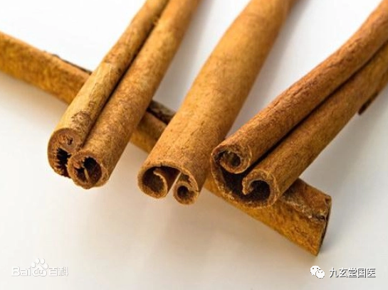Compilation of Chinese Medicinal Herbs 71: Cinnamon