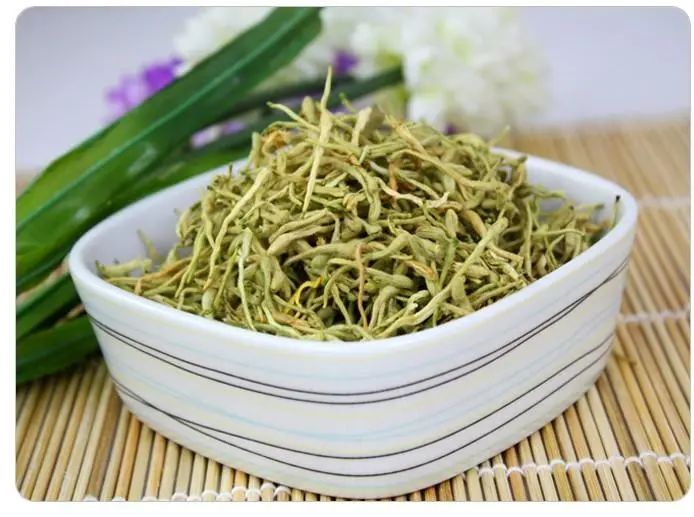 The Efficacy and Contraindications of Honeysuckle