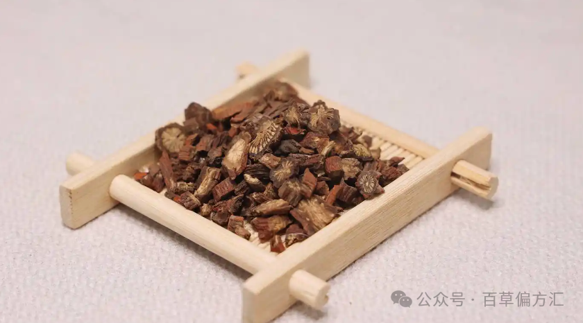 Chinese Herbs: How to Use Dan Shen for Activating Blood Circulation, Calming the Mind, and Managing Liver Cirrhosis