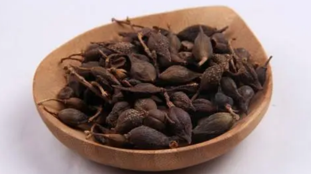 Understanding the Medicinal Properties of Lianqiao (Forsythia Suspensa)
