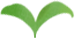 The Efficacy and Usage of Rehmannia Glutinosa (Shu Di Huang)