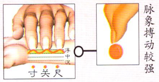 Understanding Floating Pulse in Traditional Chinese Medicine