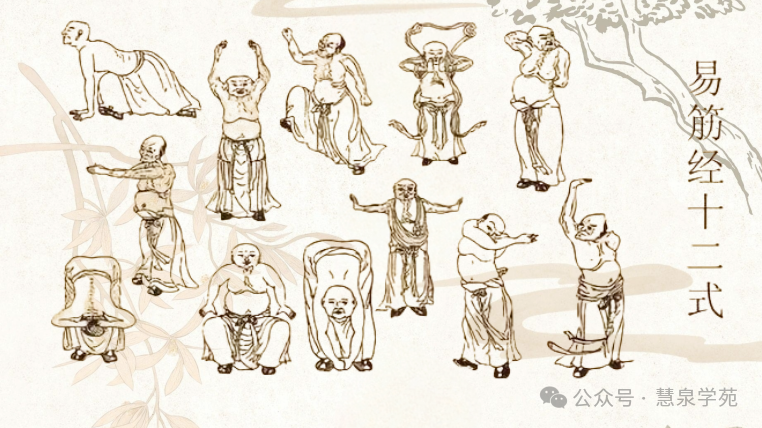 Understanding Daoyin: The Benefits of Traditional Chinese Medicine's Guiding Techniques