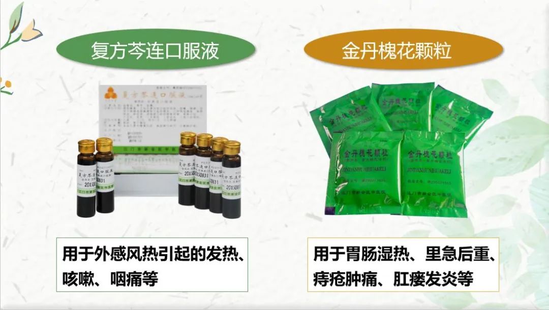 The Past and Present of Honeysuckle (Jin Yin Hua)