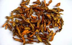 Huang Lian: The 'Aspirin' of Traditional Chinese Medicine