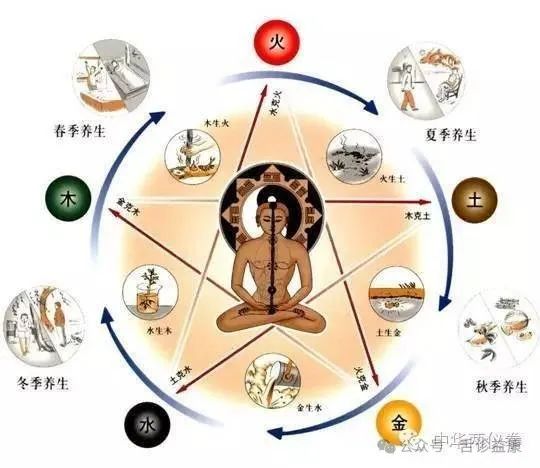 Understanding the Path to Bodily Balance - Harmonizing Yin and Yang, and Balancing the Five Elements