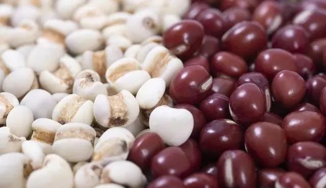 Five Integrated Methods of Dampness Elimination in Traditional Chinese Medicine: Eat This Daily to Feel Lighter