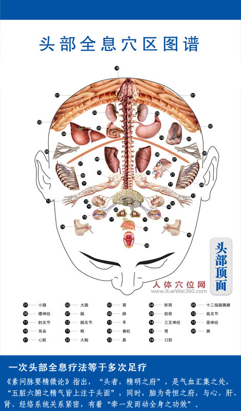 Gua Sha: The 'Master of Unblocking' for the Body