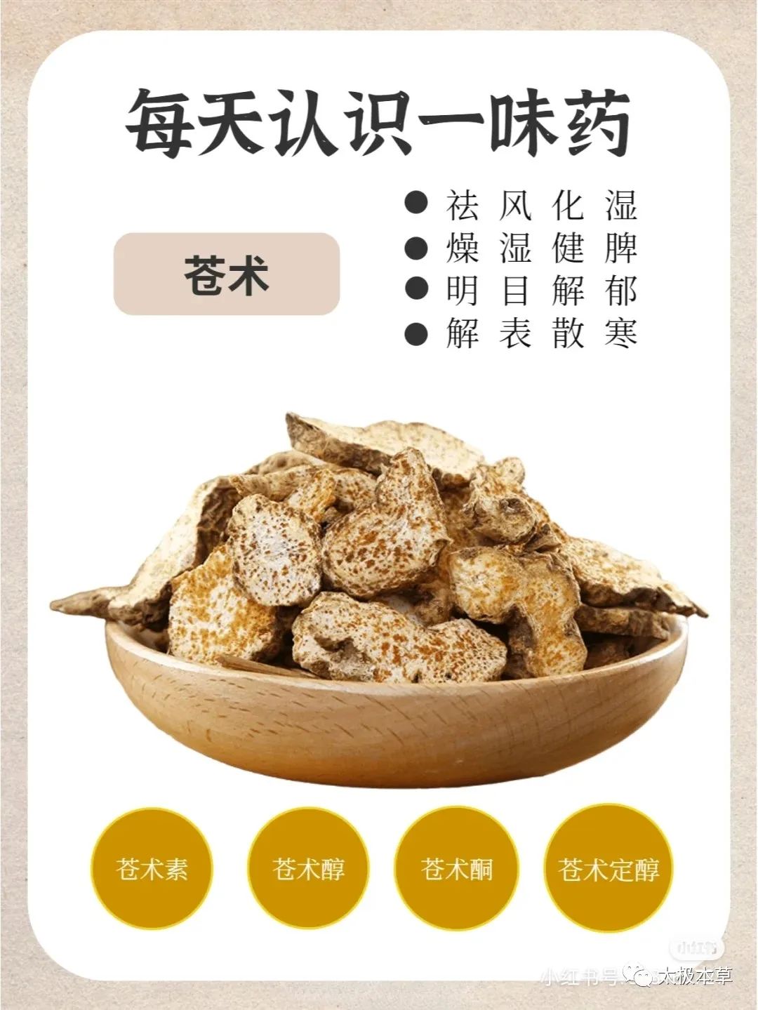 Bai Zhu (Atractylodes) - Historical and Modern Applications in TCM for Various Conditions