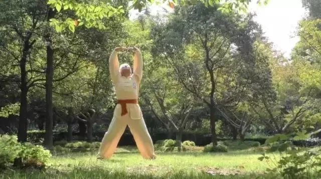 Simple and Easy to Learn! Illustrated Guide to the Twelve Movements of the Ancient Yi Jin Jing (Includes Video)