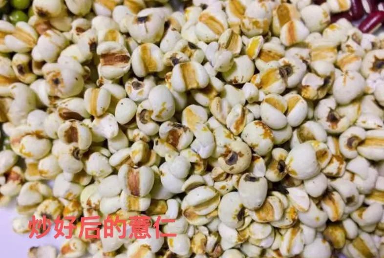 Knowledge of Medicinal Foods - Coix Seed (Yi Ren)