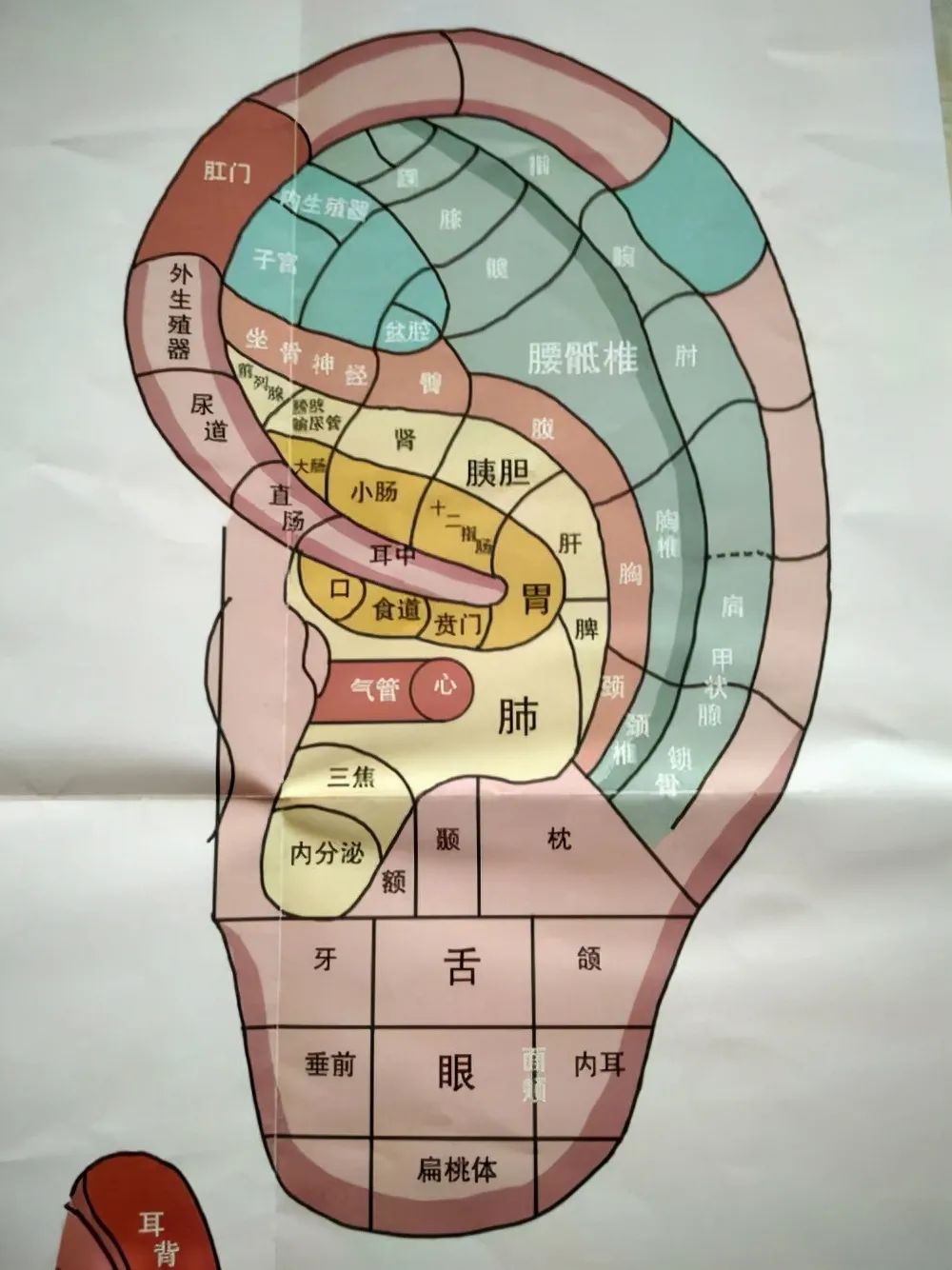 Liver Qi Stagnation: How Traditional Chinese Medicine Can Help