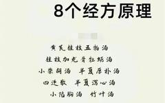 Eight Principles of Classical Formulas in the Treatise on Cold Damage: Unveiling the Essence of Zhang Zhongjing's Medicine!