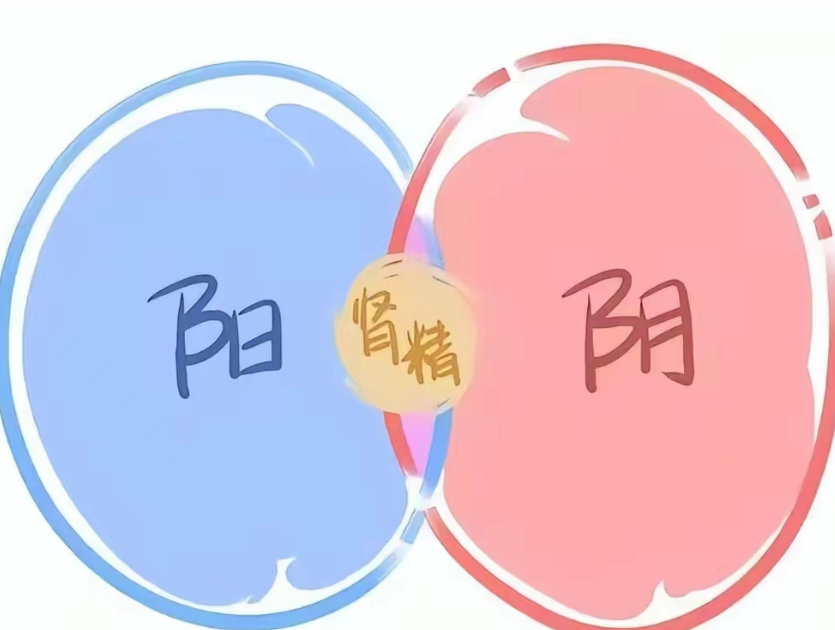 Distinguishing Between Yin Deficiency and Yang Deficiency: A Simple Trick to Nourish Yin and Supplement Yang!