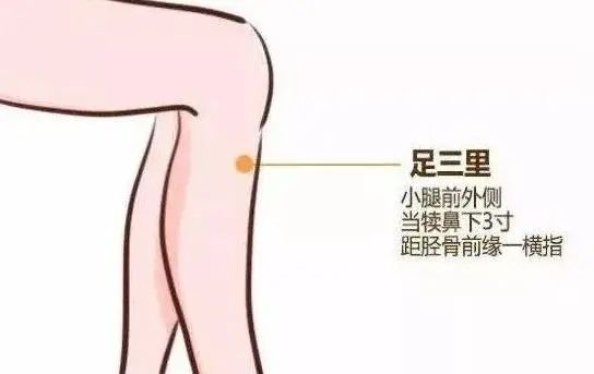Acupuncture Techniques for Treating Neck, Shoulder, Waist, and Leg Pain: The Three Hand Points and Three Foot Points!