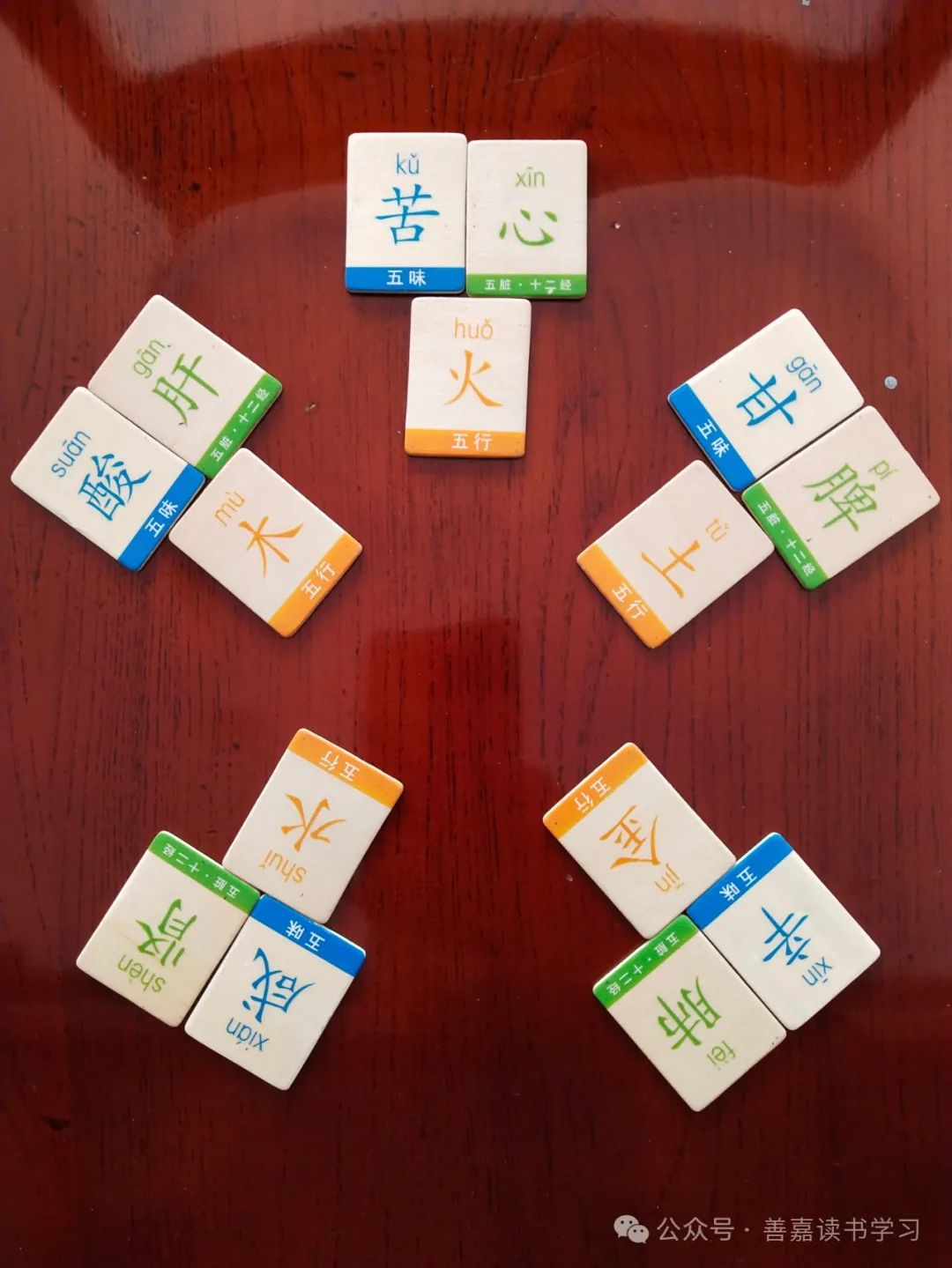 The Relationship Between the Five Tastes and the Five Organs of the Human Body