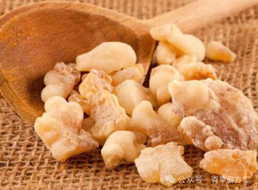 Chinese Herbs: How to Use Dan Shen for Activating Blood Circulation, Calming the Mind, and Managing Liver Cirrhosis