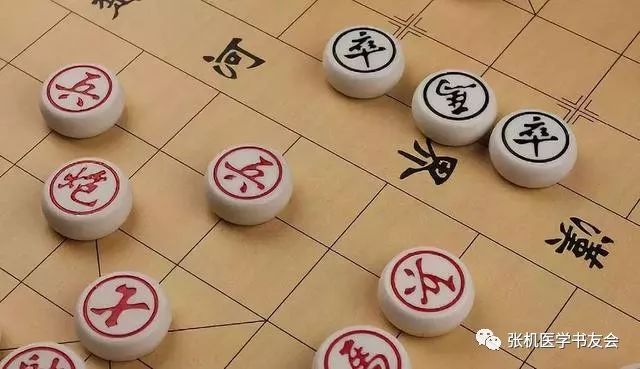 The Official Roles Assigned to the Five Zang and Six Fu Organs in Ancient Chinese Medicine