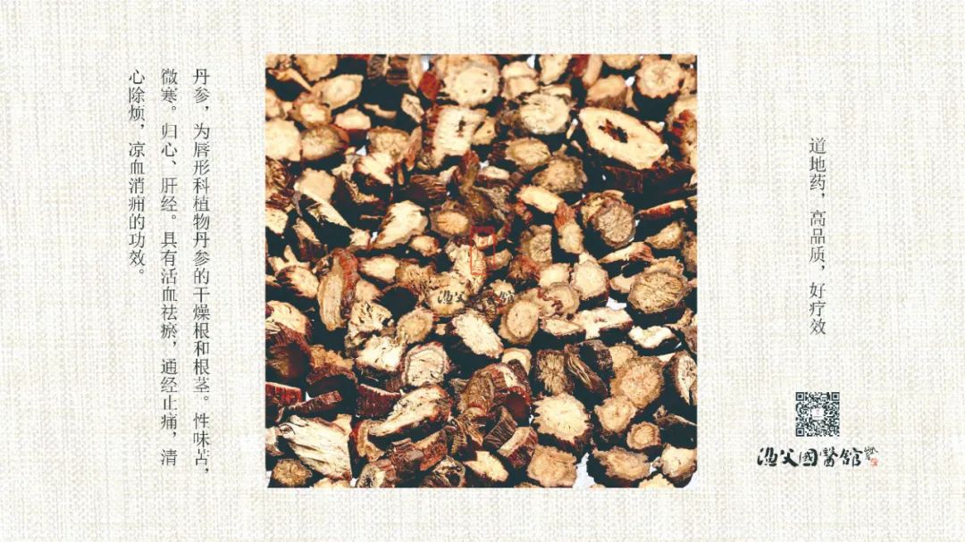 Dan Shen: Activating Blood Circulation, Removing Stasis, Nourishing the Heart and Calming the Spirit - The 'Cleaner' for Cardiovascular Health