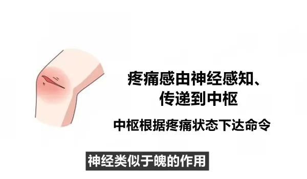Understanding the Relationship Between the Large Intestine and the Lungs: Cold Dampness and Its Impact on the Spirit
