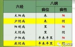 The Relationship Between the Eight Principles and the Six Meridians in TCM